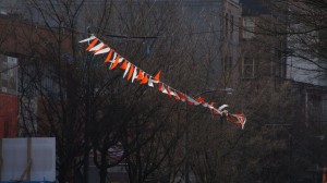 Flags in Alleyway